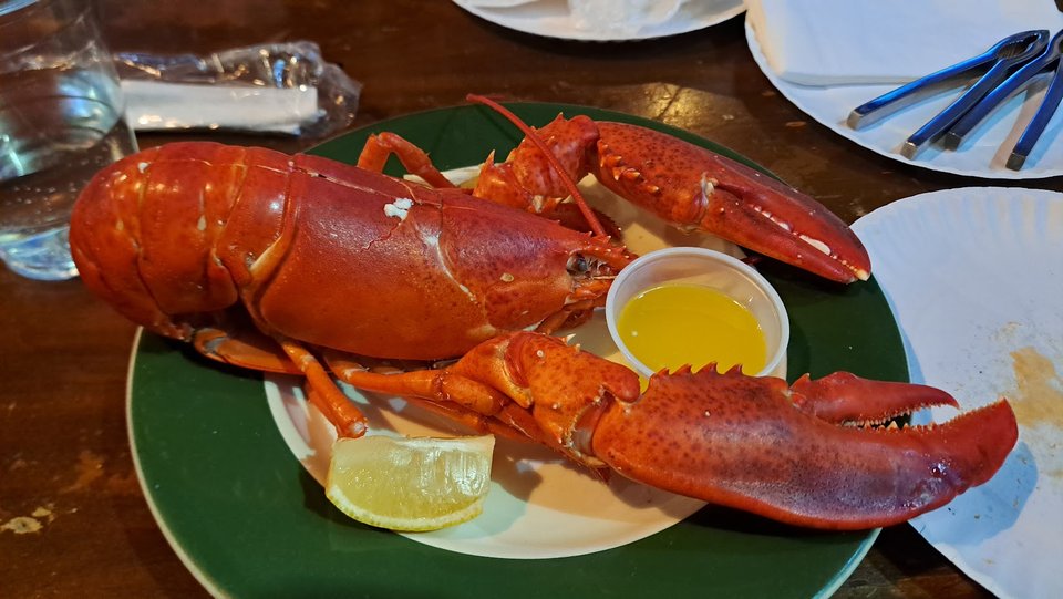 Cozy dining room for seafood and drinks.